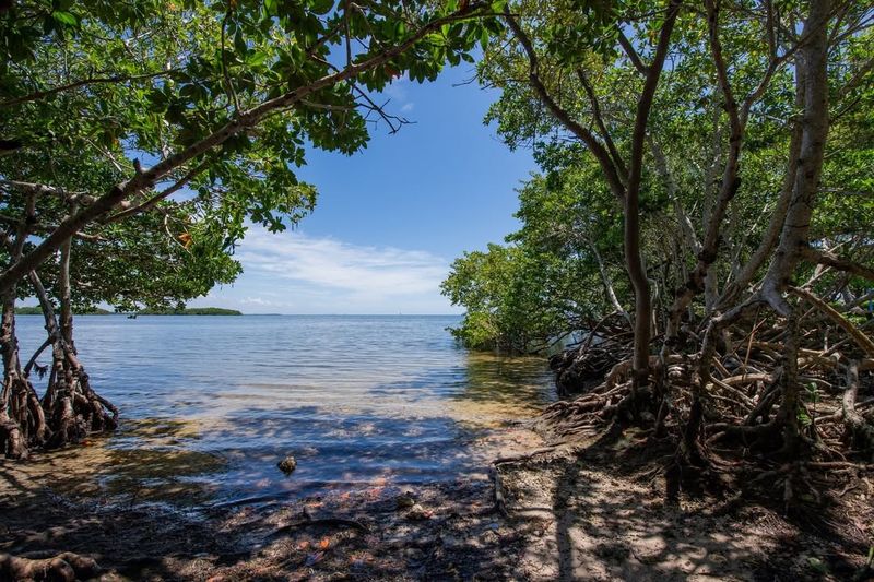 Fines And Restoration Orders Fuel Tensions With Regulators