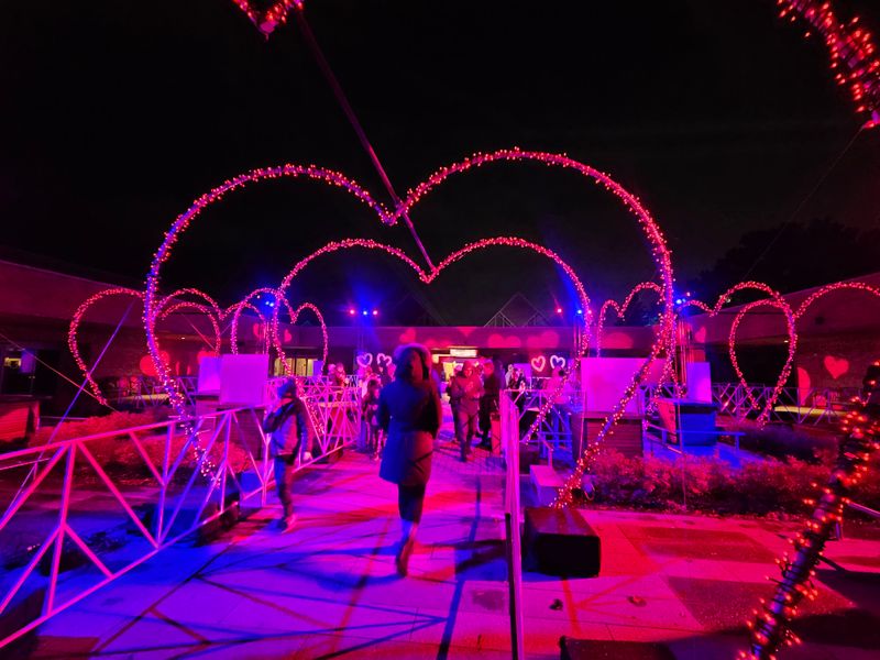 Lightscape At Chicago Botanic Garden