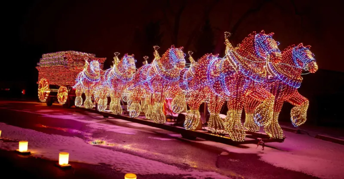 The 8 Best Holiday Garden Light Shows In Illinois This December