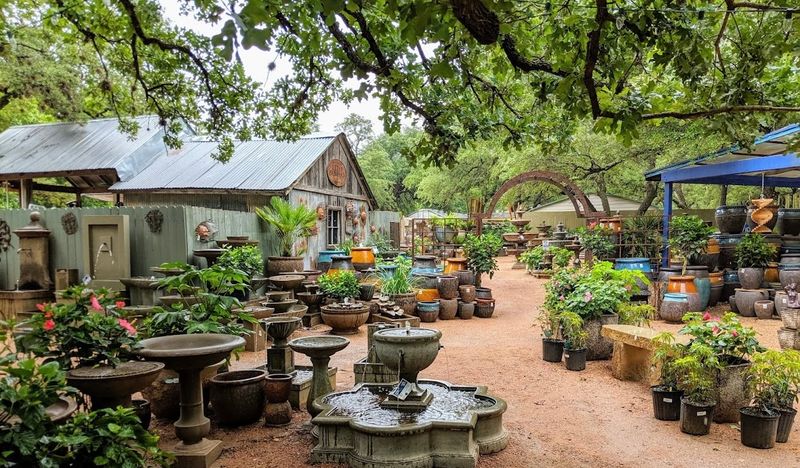 Hill Country Water Gardens Diversifies Revenue With Aquatic Plants Year-Round