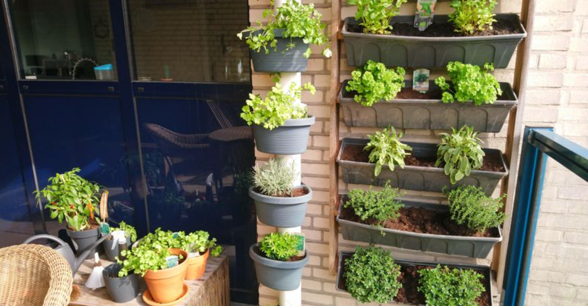 The Balcony Micro-Garden Idea That’s Catching On Fast In New York