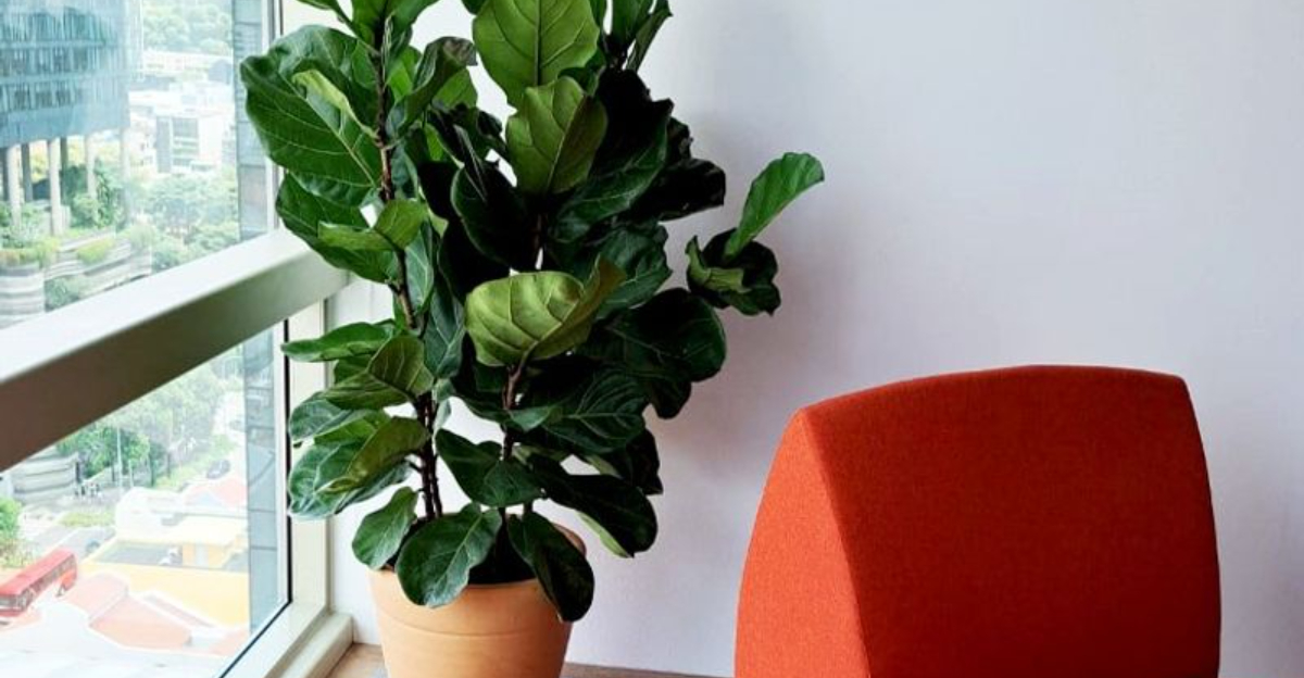 The Best Plants For A Lush Jungle Look In Ohio