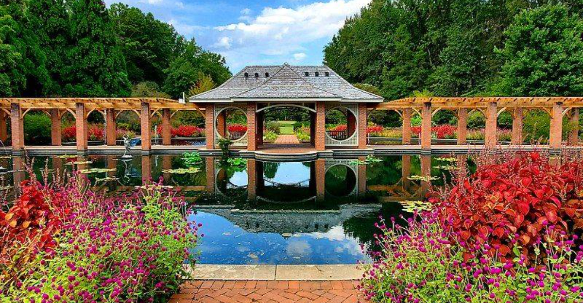 The Best Winter Bloom Gardens To Explore Across Alabama