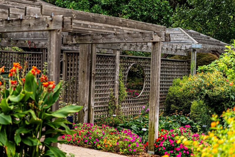 Butterfly Garden Brings Winged Wonders To Life