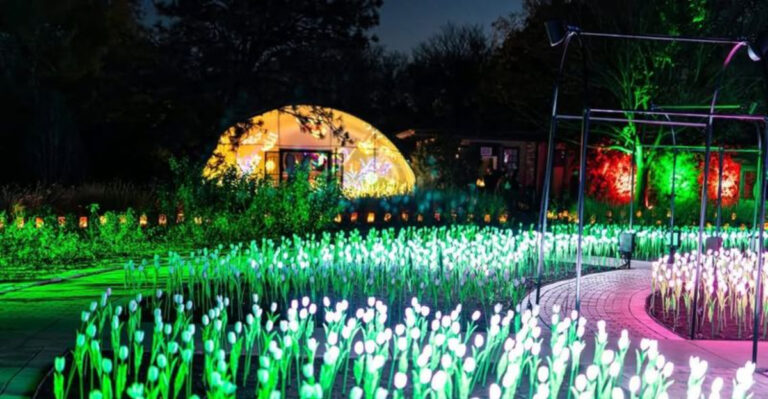 Kansas garden (featured image)