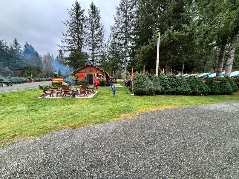 Christmas Creek Tree Farm