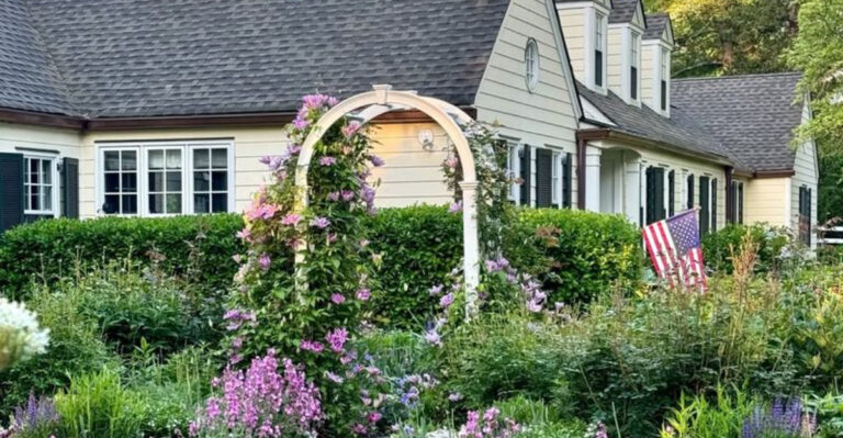 garden (featured image)