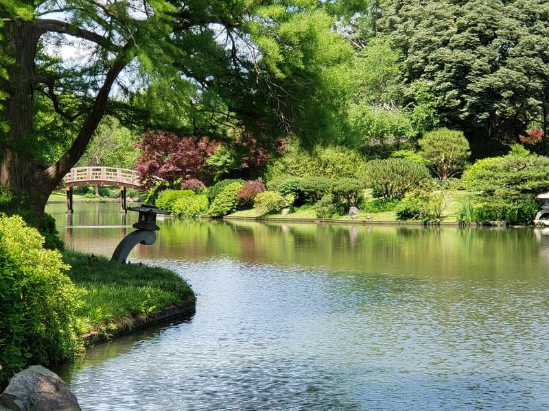 Japanese Garden's Serene Beauty and Cultural Authenticity