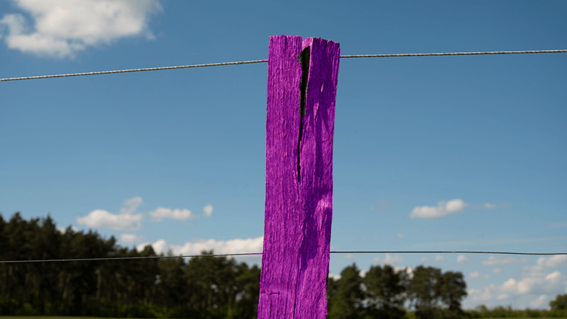 The Rule Applies To Trees And Fence Posts