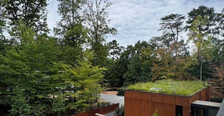 green roof (featured image)