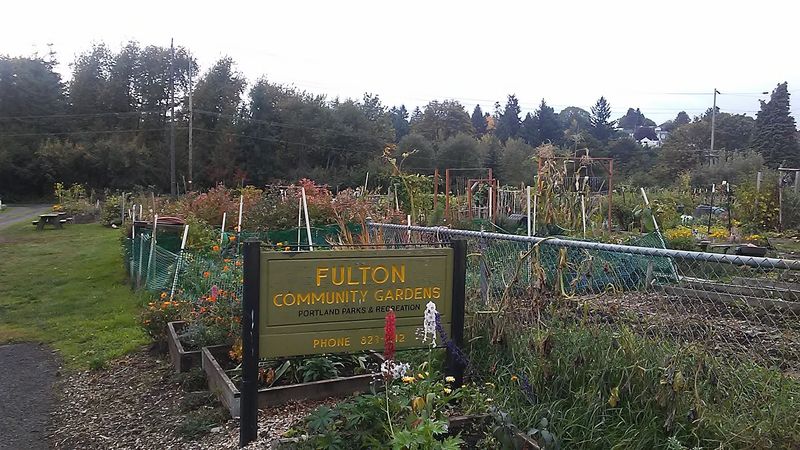 Fulton Community Garden