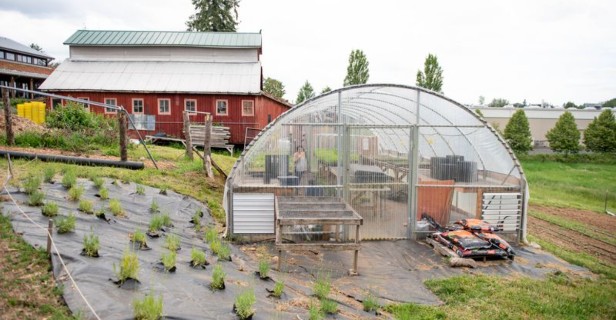 The Community Gardens Getting The Most Visits In Portland, Oregon — According To Google Maps