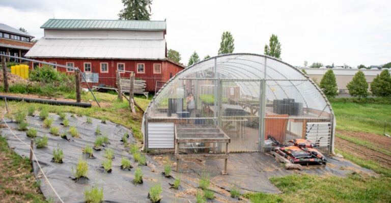 Community garden in Portland (featured image)