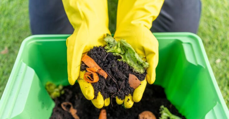 compost (featured image)