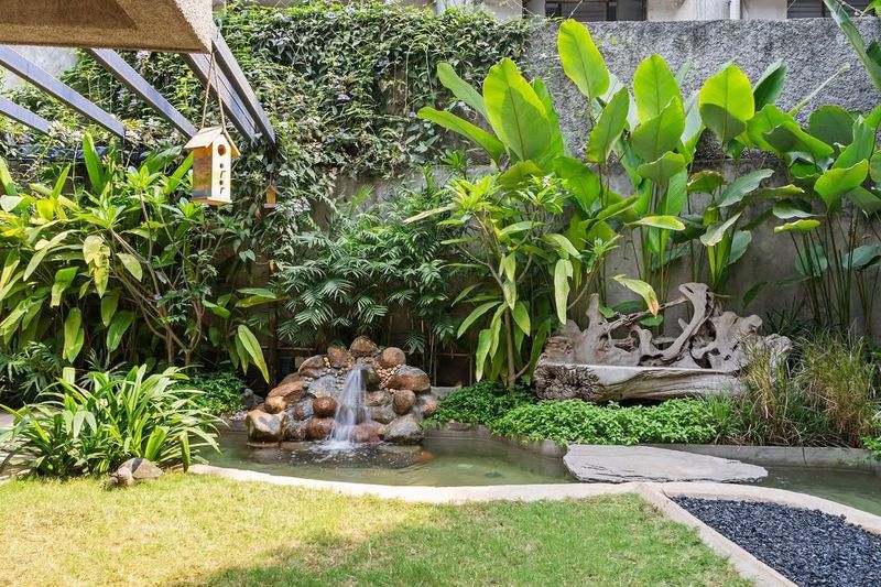 The Tropical Paradise Creator