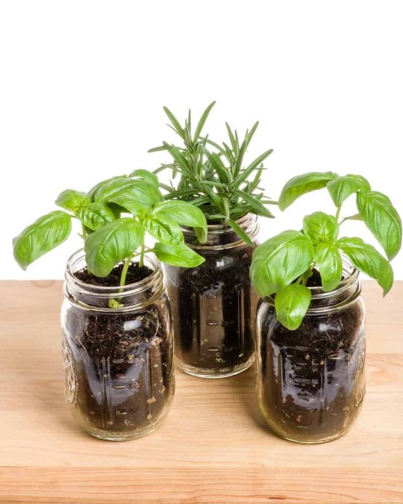 Turning Glass Into Green