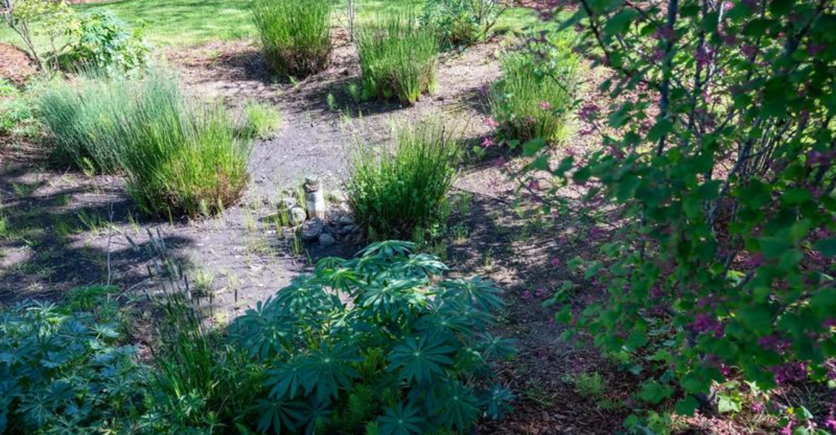 The Eco Friendly Planting Style Changing Oregon Gardens