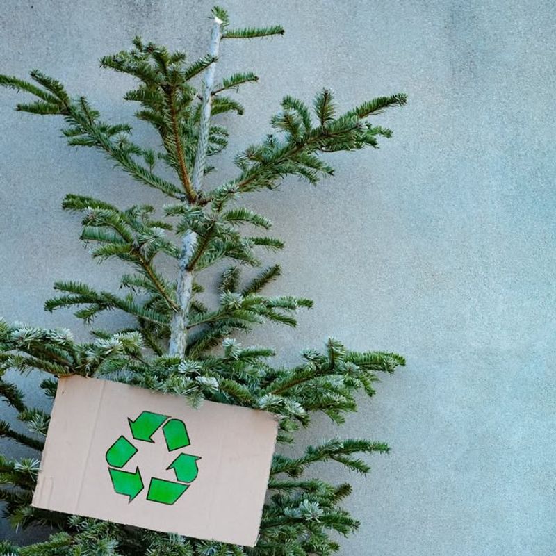 Tree Recycling Programs Thrive Throughout Oregon Communities