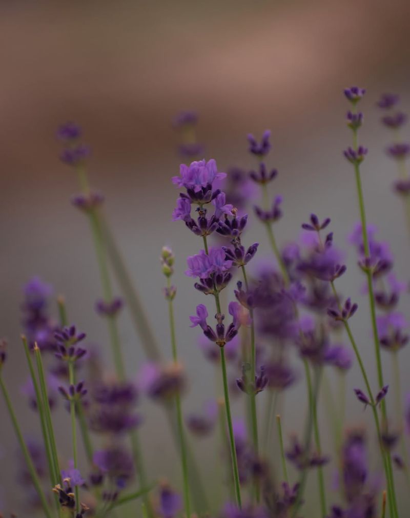 Natural Stress Relief Right Outside Your Door