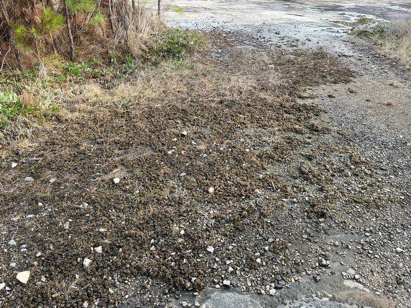 Improving Drainage Is The Best Long-Term Solution