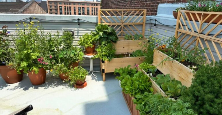garden on roof (featured image)
