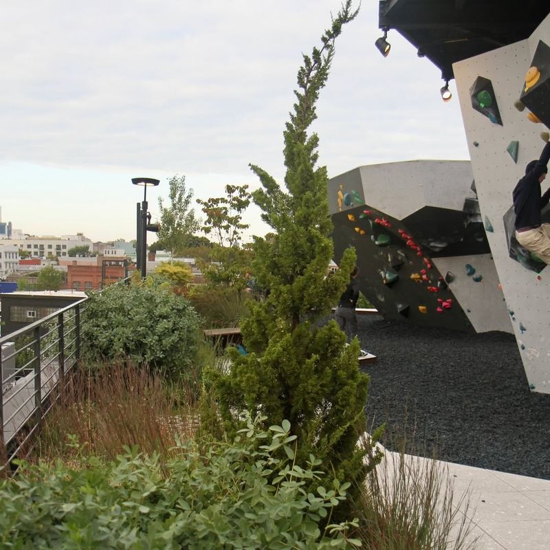 Green Roofs Cut Energy Bills Dramatically