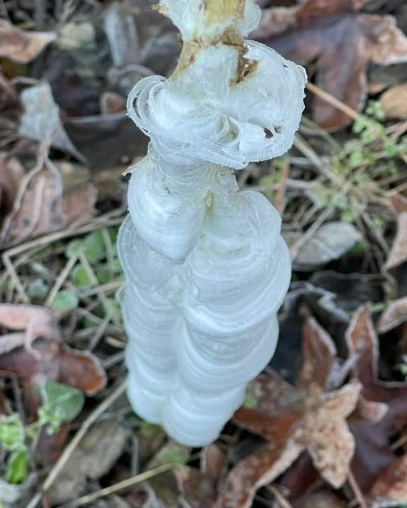 Here's How The Ice Sculptures Are Created