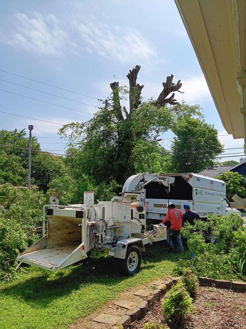 When To Hire A Professional