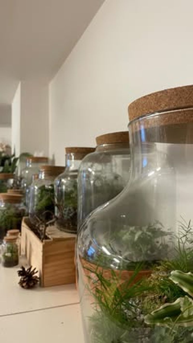 When Jars Become Garden Stars