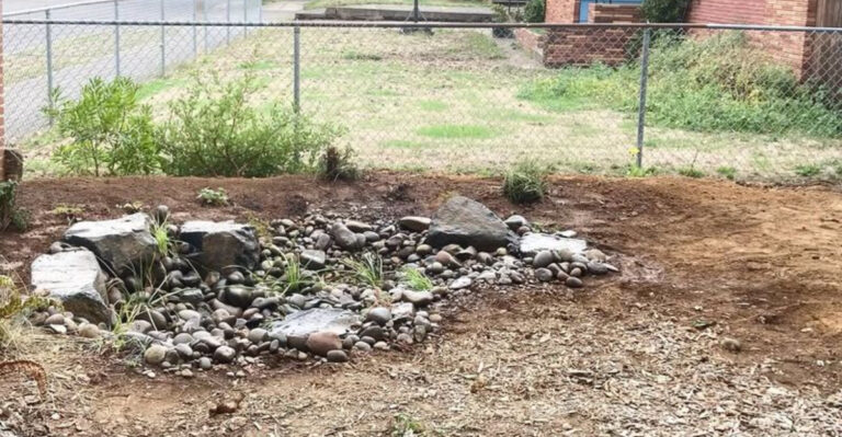 garden (featured image)