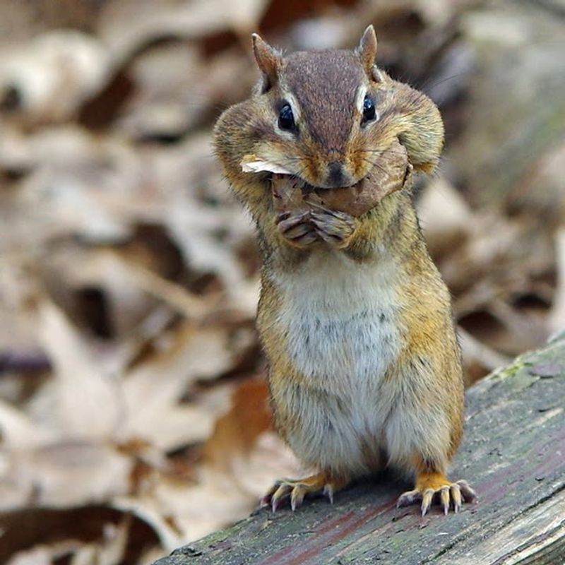 Preparing For Pennsylvania's Cold Winters