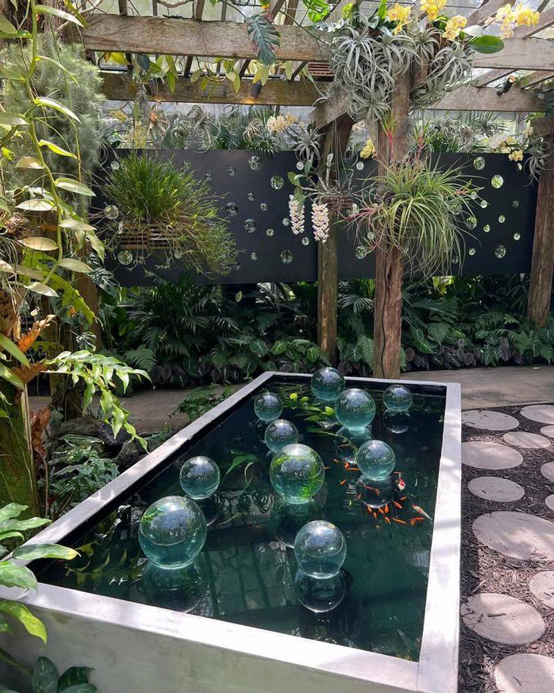 The Enchanting Bromeliad Garden Paradise