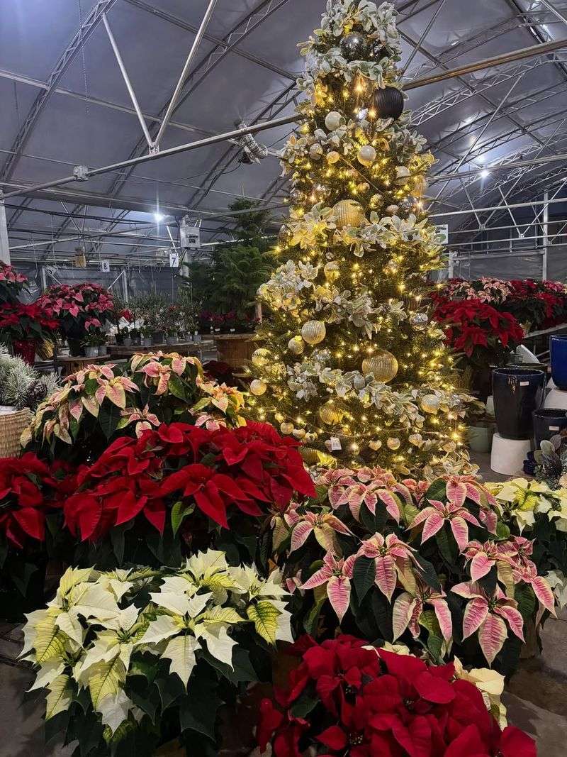 Inventory Orders Must Be Placed Months Ahead