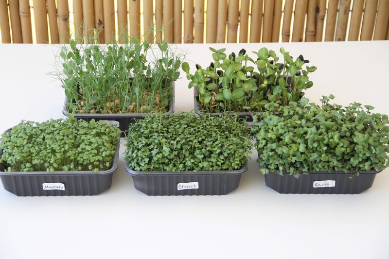 Space-Saving Solutions For Tiny Apartments