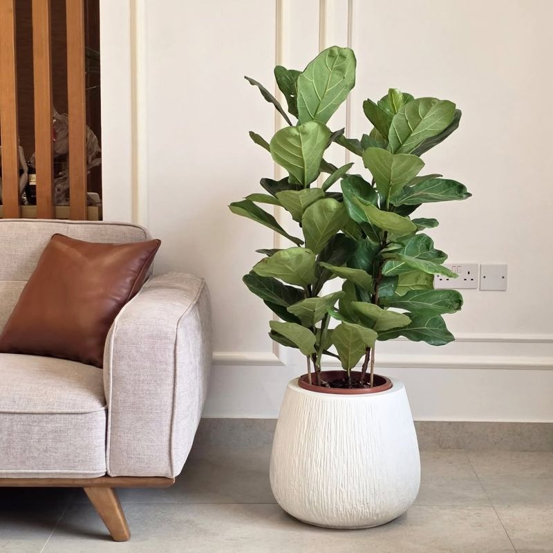 Quality Over Quantity Makes Spaces Feel Calmer