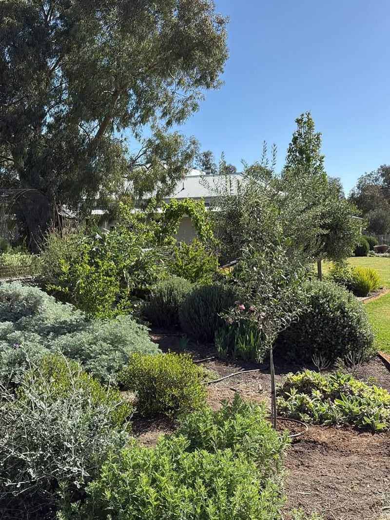 The Wildlife Haven Builder