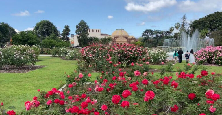 Exposition Park Rose Garden
