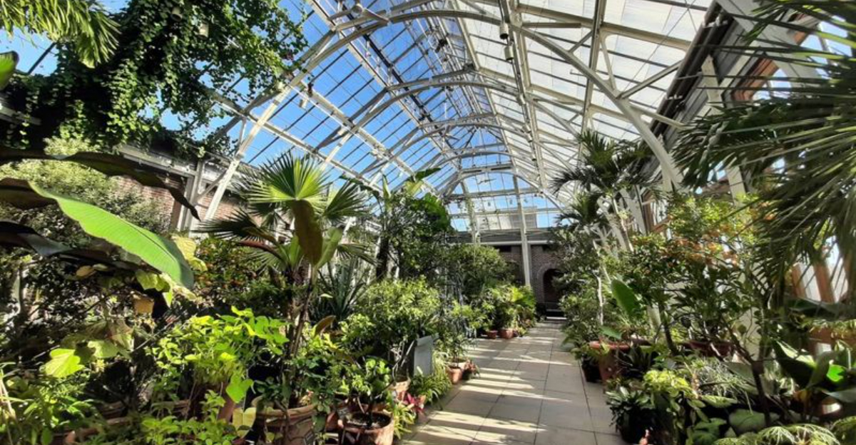 The Most Visited Botanical Gardens In Massachusetts Confirmed By Google Maps Activity