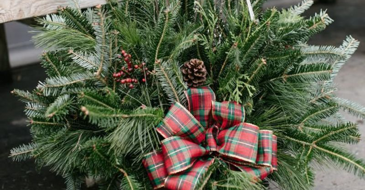 The Natural Christmas Driveway Decor Michigan Families Are Choosing Instead Inflatable Displays