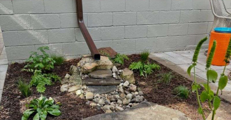 garden (featured image)