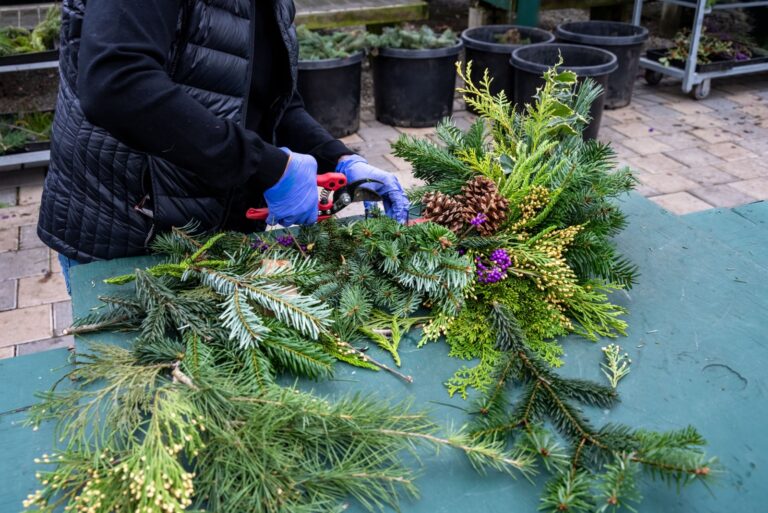 evergreen cuttings for xmas decor