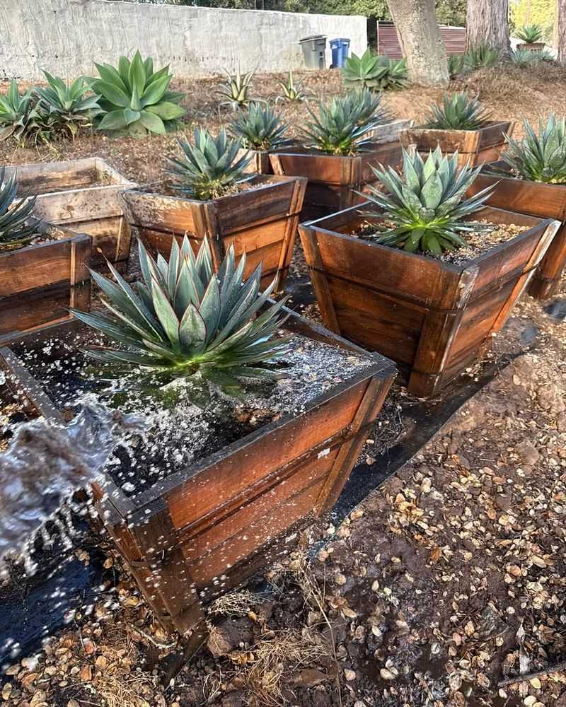 Approved Plants vs. High-Risk Vegetation: What's Allowed In 2026