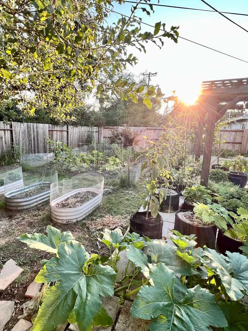 Golden Hour Family Portraits