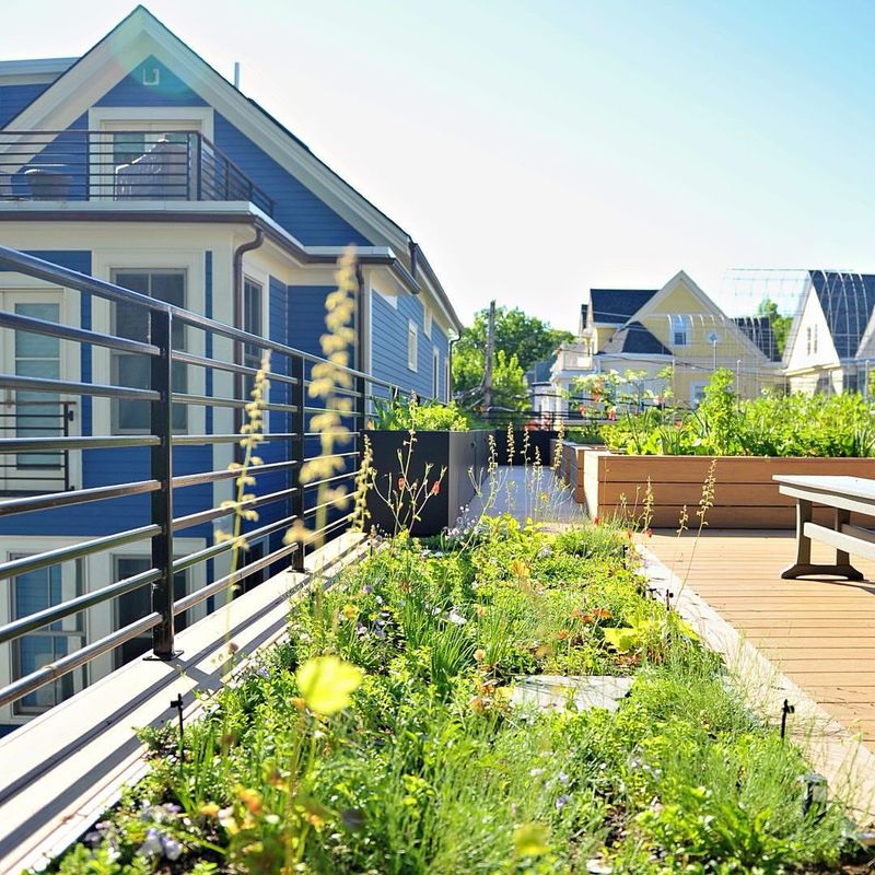 Boston Common Herb Haven