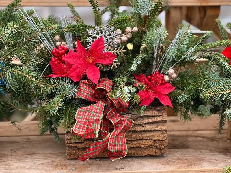 Classic Red Poinsettias