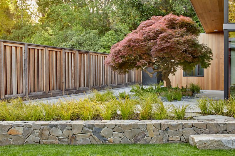 Less Plants More Peace