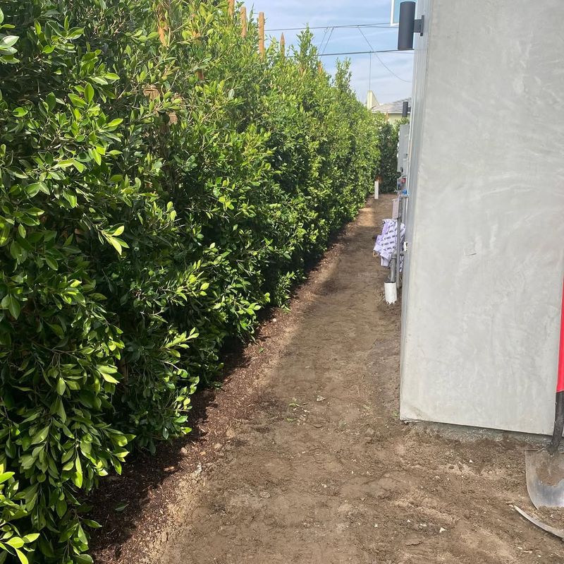 Homeowners Associations Often Have Additional Requirements