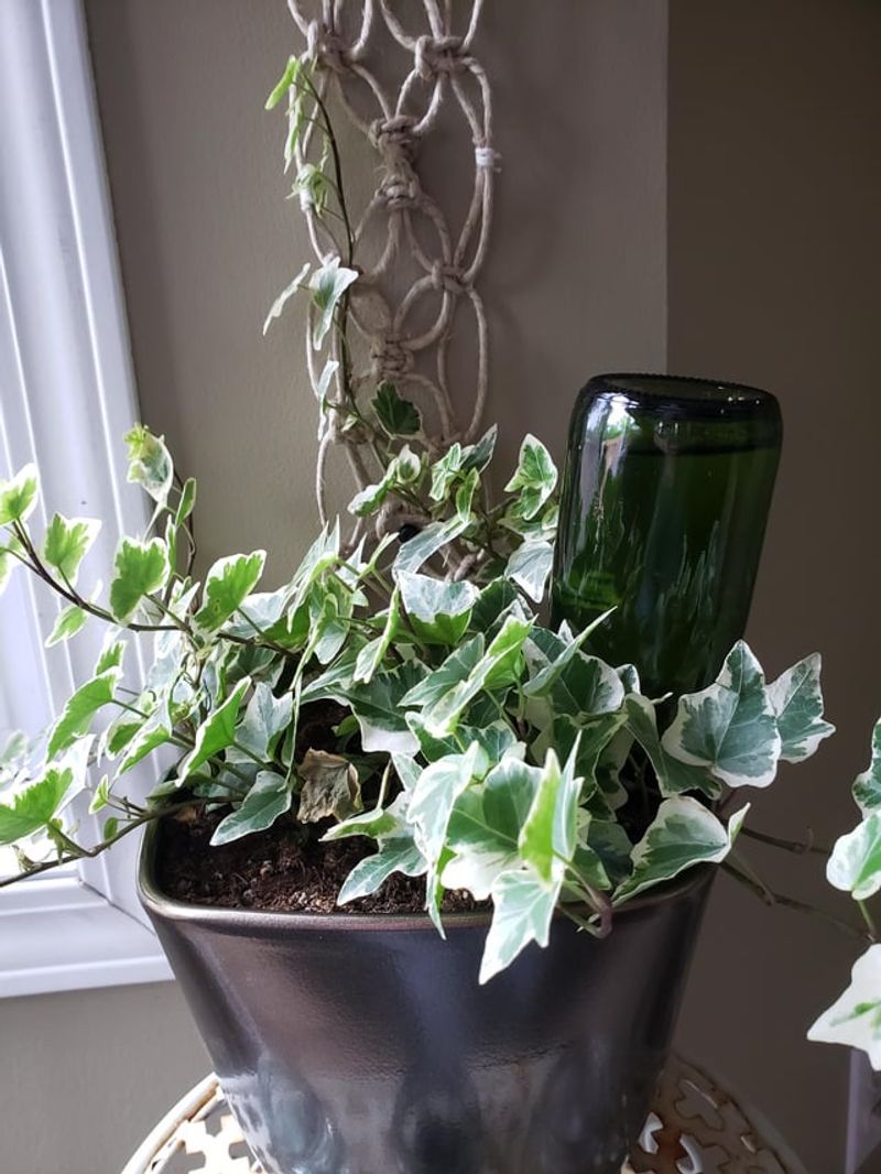 Wine Bottle Watering Stakes