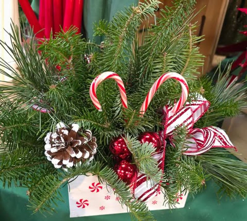 How Backyard Cuttings Compare To Store-Bought Christmas Greens