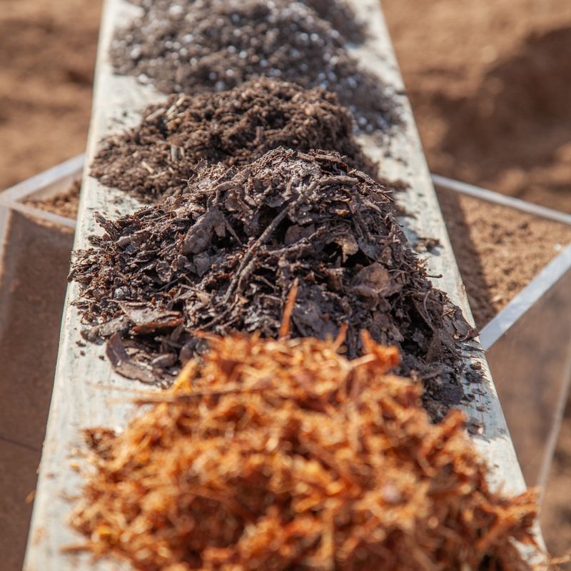 How California's Dry Air Changes Watering Needs